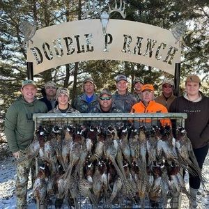 Meet your Posher, Brad